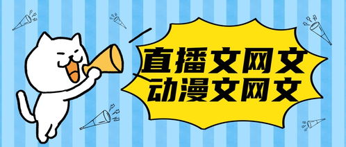 郴州網(wǎng)絡(luò)文化經(jīng)營許可證辦理全攻略 條件、流程與注意事項(xiàng)
